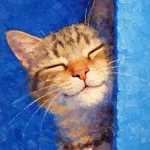 Cozy Whiskers