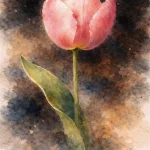Petal in Stillness